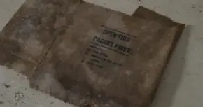The Urban Explorer