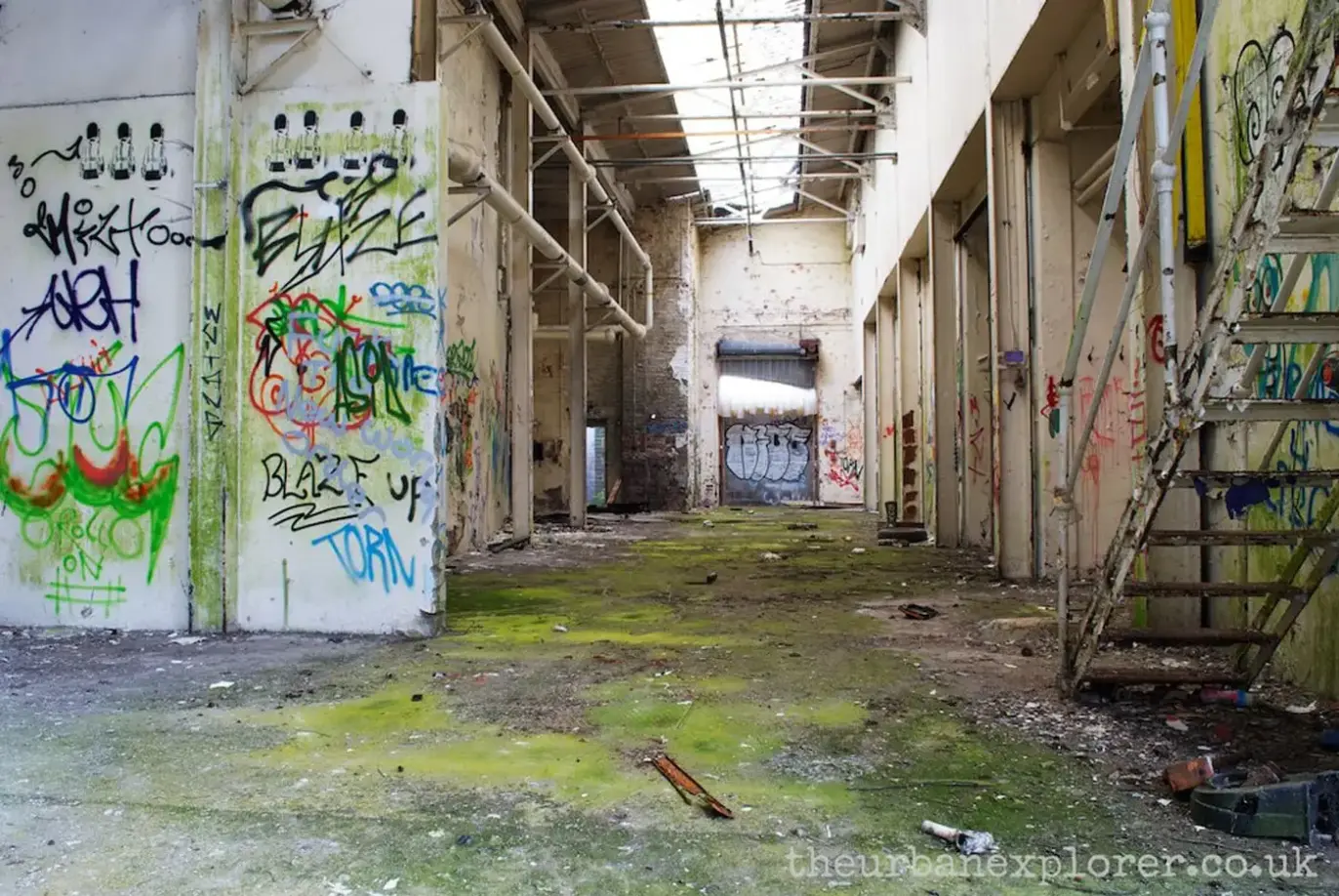 The Urban Explorer