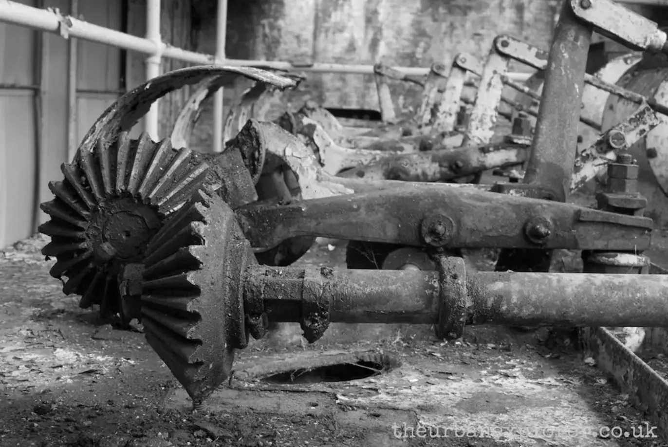 The Urban Explorer