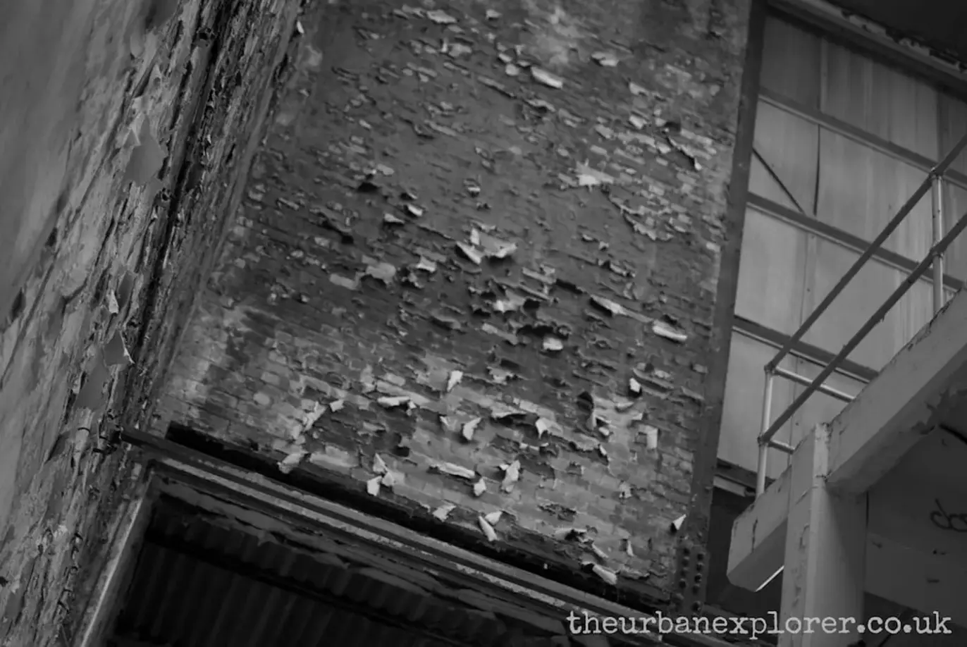 The Urban Explorer