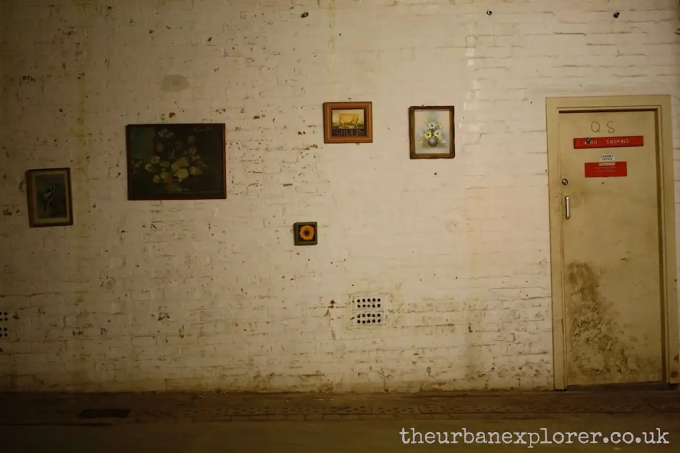 The Urban Explorer