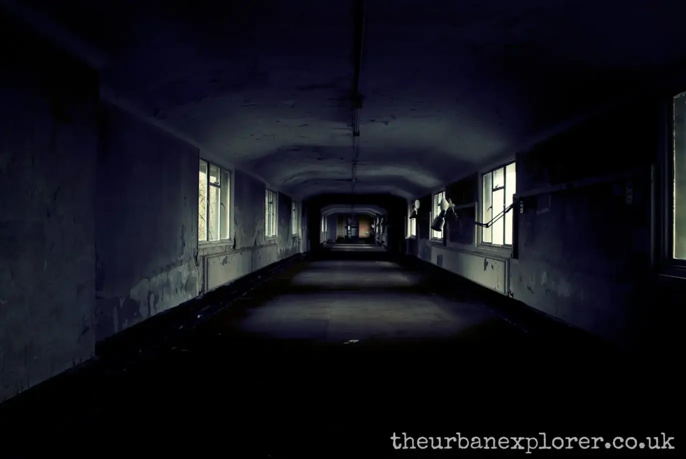 The Urban Explorer