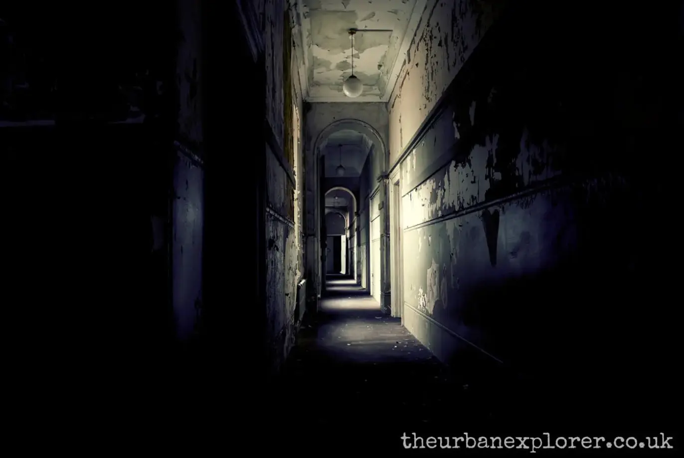 The Urban Explorer