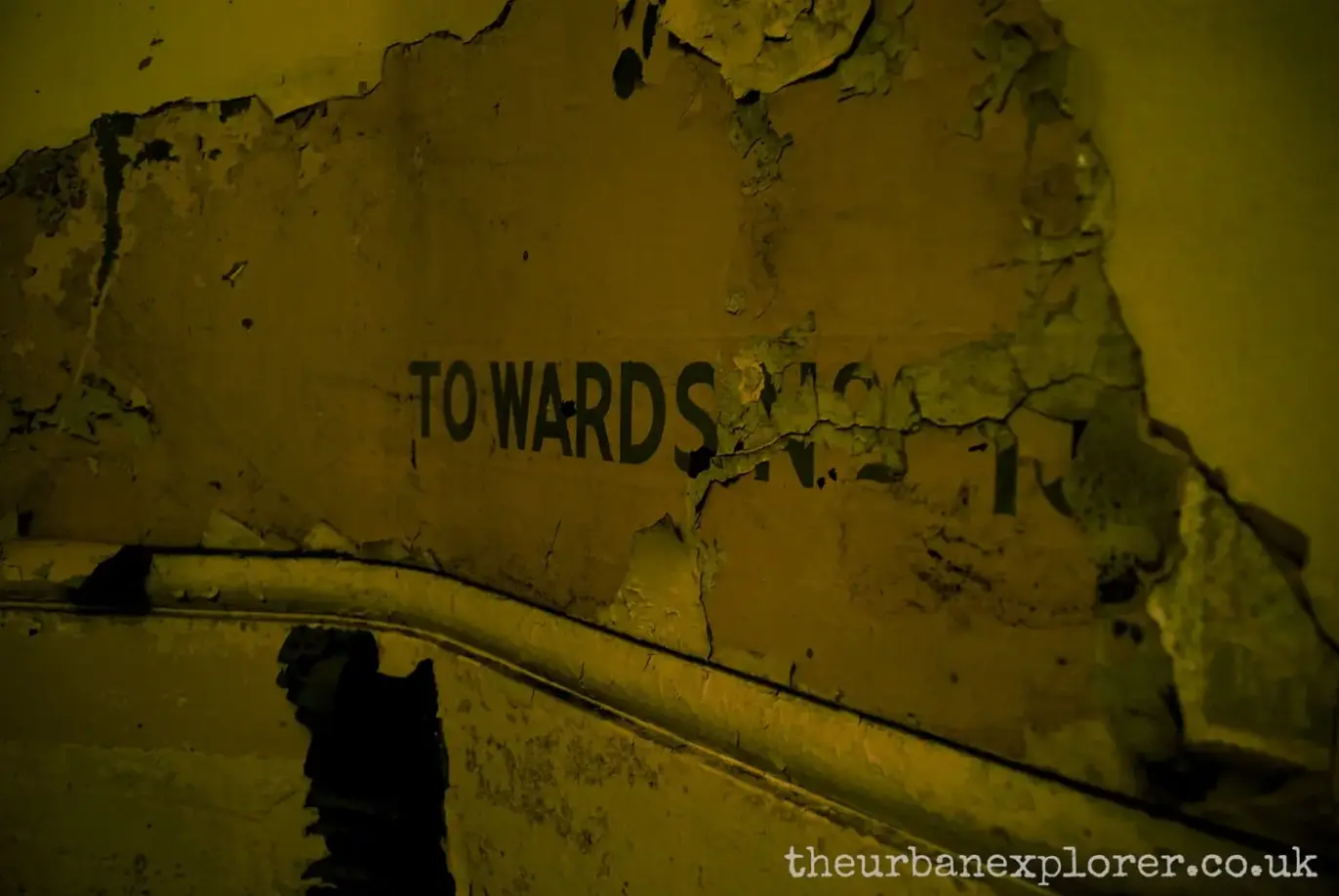 The Urban Explorer