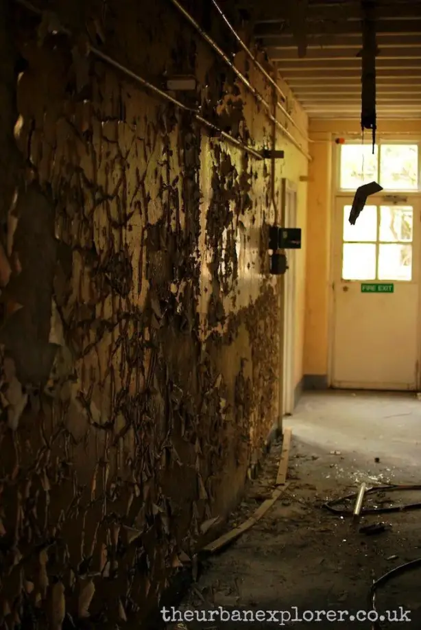 The Urban Explorer