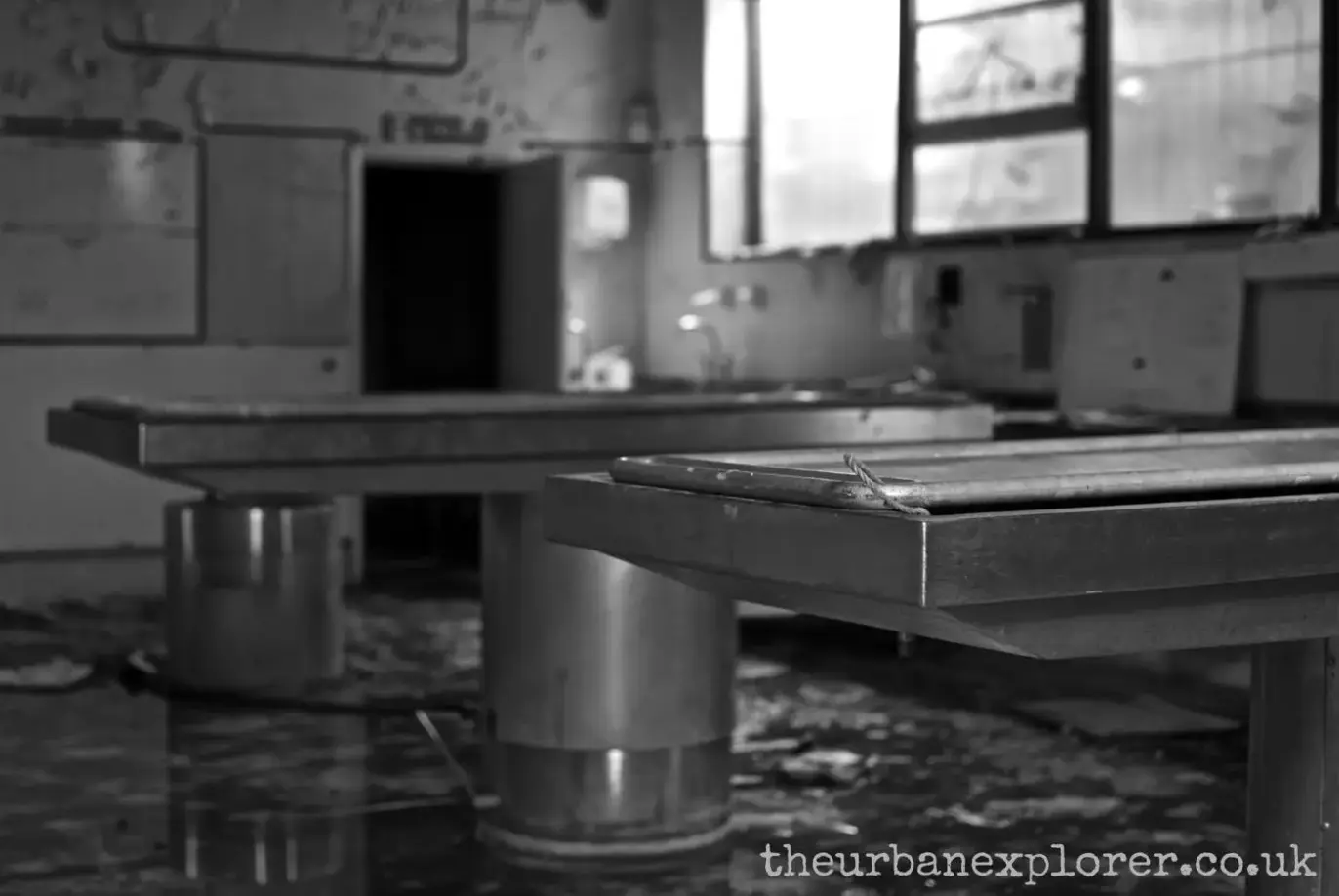 The Urban Explorer