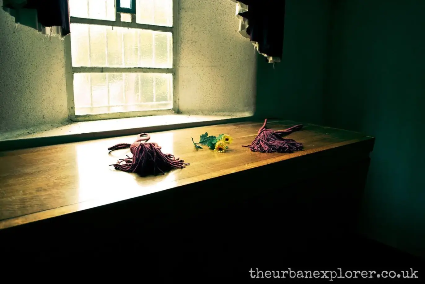 The Urban Explorer